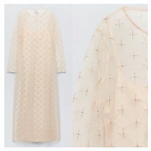 Zara Pale Blush Beaded Sheer Long-Sleeve Maxi Dress
